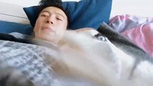 不让拍自己睡觉的哈士奇，二哈我要睡觉了，不准拍
