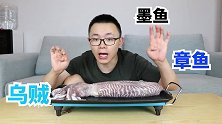 快看！这么大的乌贼只花了150元，贼好吃