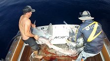 澳大利亚渔民钓上一条“骷髅”鲨鱼 鱼身“四分之三”已被吃掉