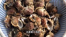 用两包盐烹饪的海螺会咸吗？开玩笑的，我说的是盐焗海螺！