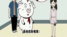 猪屁登正能量：笨重的屁登，一不小心撞了人，却还有理了