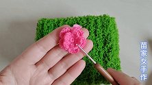 钩织精致漂亮的小蔷薇花，想装饰在哪都好看