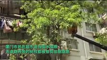 绳绑凉亭、木杠顶窗户……福建人民为抵御台风“杜苏芮”各出奇招
