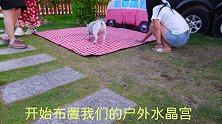 带小猫咪秋游，野营房车基地萌宠出道计划 vlog萌宠日常