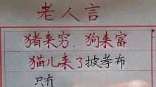 每天读一读老人言