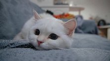 你猜我发现了什么好玩的