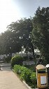 颠风急雨过吴川，极浦亭前望远天