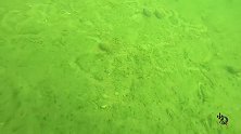 深水河里“宝贝”真多，都是年代已久的废品，不知有没有价值