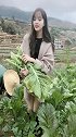 农夫三全有点甜，姑娘我最甜哥哥你喜欢吗