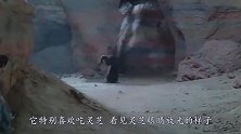 为什么穷奇会被列为上古四大凶兽？第一个原因让人不敢相信！