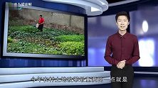 今年开始,这几类人将成为“无地农民”这是一个坏消息