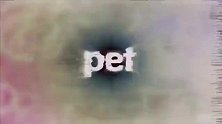 三宅乱丈原作TV动画_pet_ OP映像公开