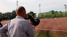 郑州：北龙湖湿地公园网红草遭游客践踏 6个保安拦不住