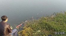 浮草堆间挥杆垂钓半天没口，重新开饵突然大鱼来袭瞬间鱼竿被拖走