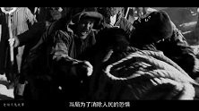 欧洲神秘生物！吸血鬼之谜！