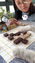 猫咪和主人下五子棋，猫咪：这是人干事？
