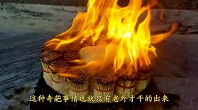 用1000根火柴煎水宝宝会怎样？老外亲测，结果出乎意料！