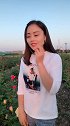 一首伤感歌曲，小姐姐唱得十分动听