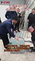 太原清徐村民成功救助一只大鸨 国家一级保护动物