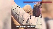23头骆驼被咬死后，包头一牧民装上“防狼神器”：效果还不错，其他牧民可参考