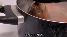搞笑视频：这锅也太小了，好歹我是只龙虾啊，这死的太憋屈
