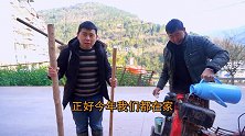 父子俩上山春耕犁田，老妈送饭到田间，小厨一人吃4碗，真饿了