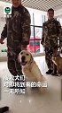 像极了打针时的你！当搜救犬遇上打疫苗：撒泼卖萌无所不用