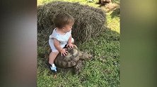 宝宝骑大乌龟，当看到乌龟前进的时候，忍不住笑了！