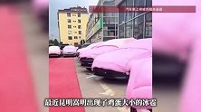 云南一车商为防冰雹，给百辆新车盖棉被：紧急采购300多床被子，每辆车盖3床