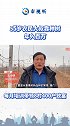 55岁农民大叔靠种树 种树也能c位出道 年入百万