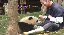 熊猫：哦耶，猜拳宝宝赢了，快点奖励我吃的