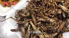 吃昆虫宴，蝎子蚂蚱竹虫豆虫等蝎子真好吃我连吃3个，喝白酒过瘾