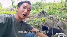 左右为难，把狗送回去，主人会吃狗，不送回去狗狗不吃东西