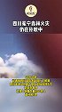四川冕宁森林火灾仍在扑救中