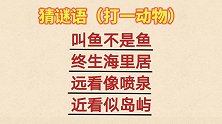 猜谜语，猜一动物，给你二十秒时间，你能猜出来吗？