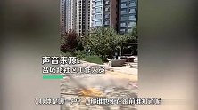 兰州一老人被高空坠狗砸中身亡 当地：狗主人尚未找到，警方已介入