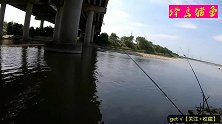 钓鱼：一把青草钓桥底，没想到效果出奇的好