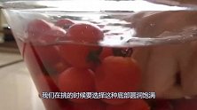 买圣女果，选圆的还是尖的？果农：教你3招，个个酸甜多汁又新鲜
