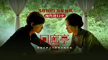 电影《回廊亭》发布“欢迎回家”预告 任素汐刘敏涛共探人性深渊敌友难辨