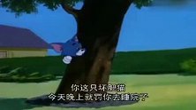 猫和老鼠：汤姆太惨了，一点精神都没有，这可怎么办啊