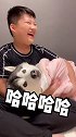 这个宝宝自带笑点，太大一只了，画面实在温馨不下去了 哈士奇 萌宠出道计划
