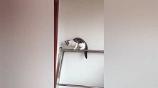 这都是亲孩子妈妈遇危险都四散奔逃