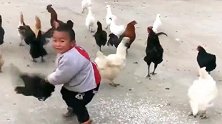 你们有吃鸡高手，我家抓鸡高手，看我家宝宝厉害不！