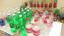 园艺：喝掉的可乐瓶不要扔，大神教你自制创意花盆，省钱又实用