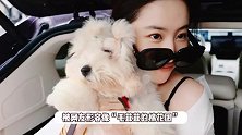 刘亦菲国庆带狗狗自驾游，冷脸开车气场全开，化淡妆皮肤白到发光