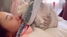 猫咪叫醒服务：虽然舔的热情，但是有点扎！