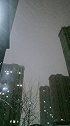 他朝若是同淋雪，此生也算共白头.冬天该有的样子