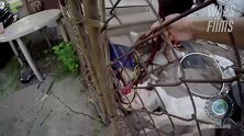 流浪狗瘦骨嶙峋，得知自己被收养，它高兴坏了，笑的像一朵花