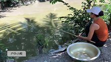 表姐钓鱼全靠扯，吃钩必须中大货，这样钓鱼才过瘾