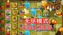 复兴时代67：无尽模式下测试多种阵容变化，了解自我的植物运用